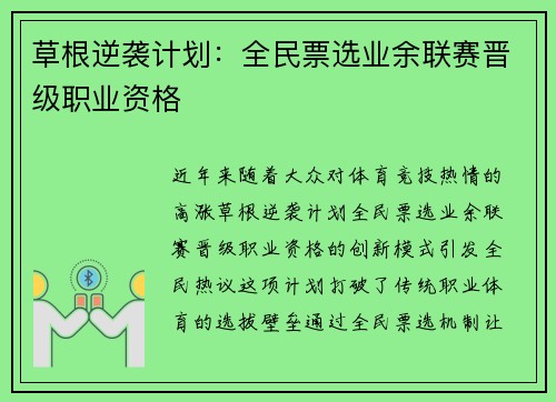 草根逆袭计划：全民票选业余联赛晋级职业资格